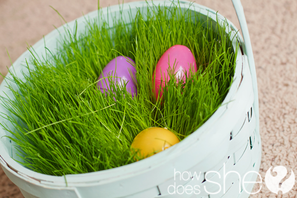 Easter Traditions: How to Grow Easter Basket Grass